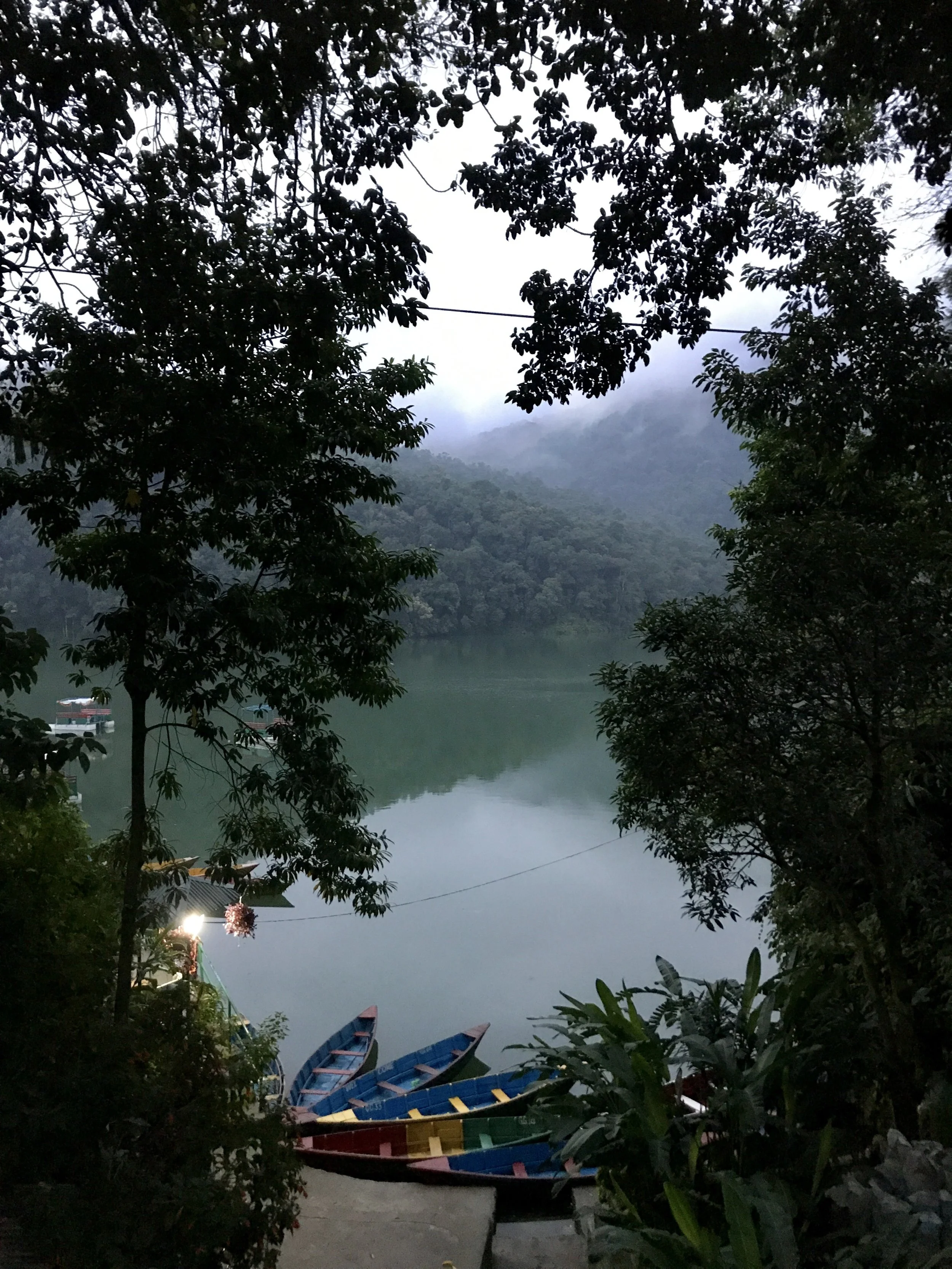 IMG_4073.jpeg