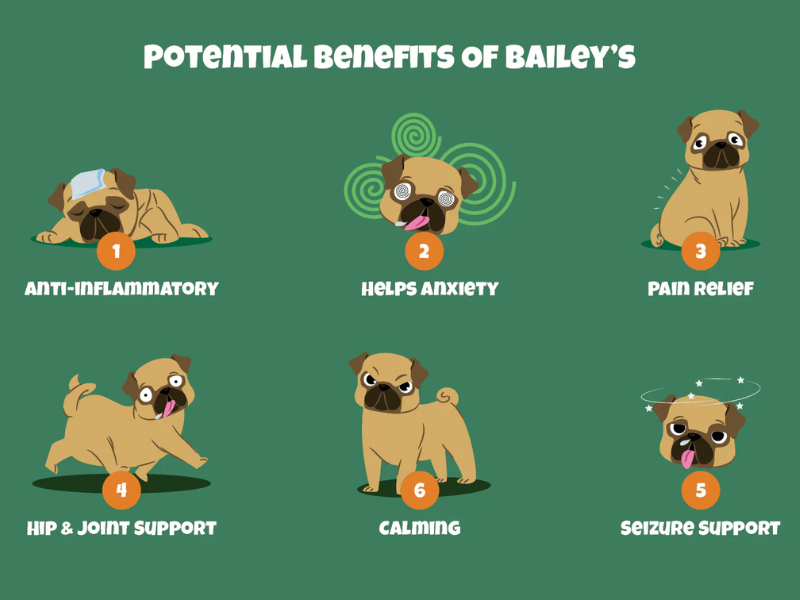 Paws &amp; Reflect: Top 5 Pet Wellness Solutions by Bailey’s CBD For Pets