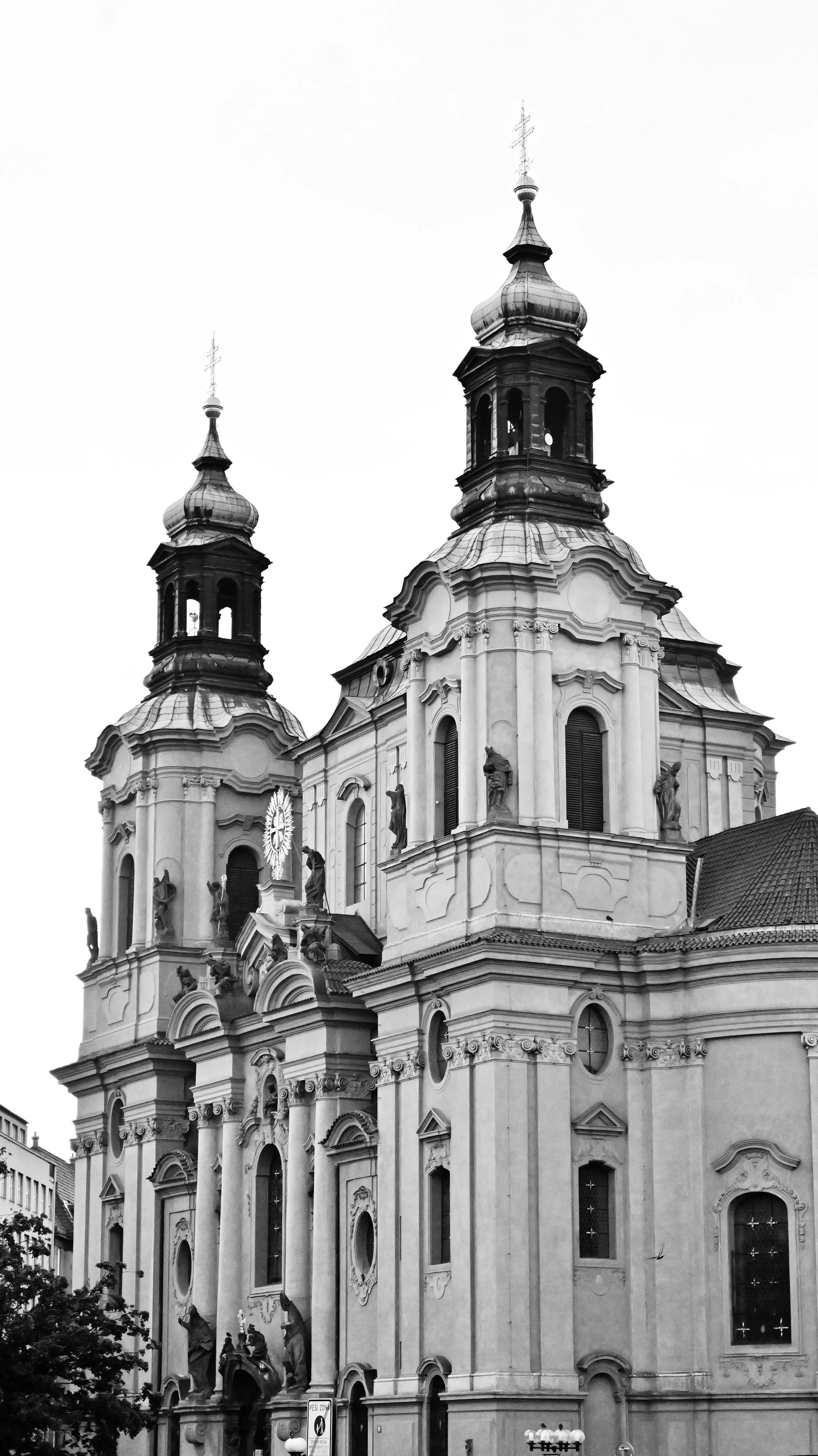 DSC_2462.jpg