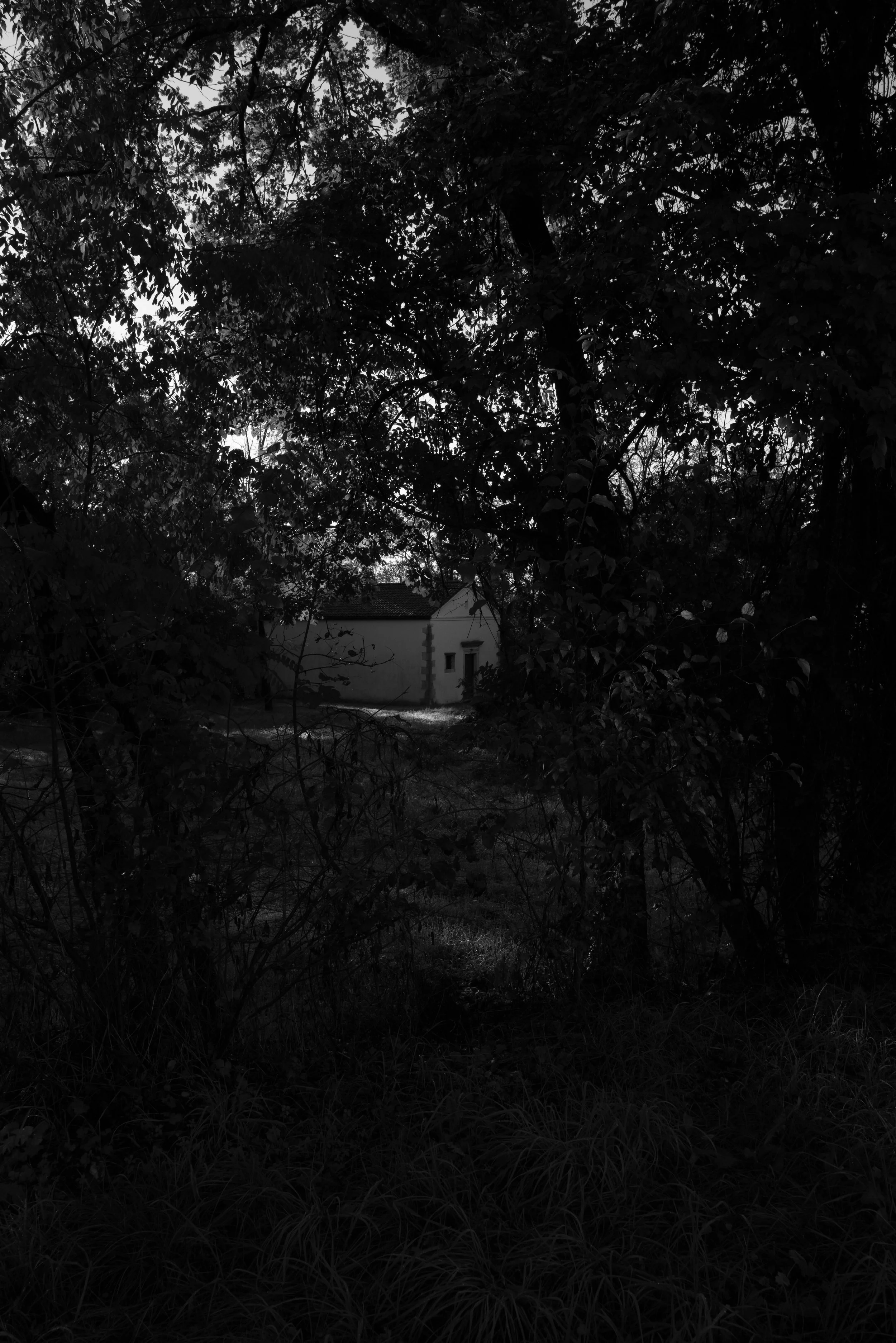 chiesa di san martino