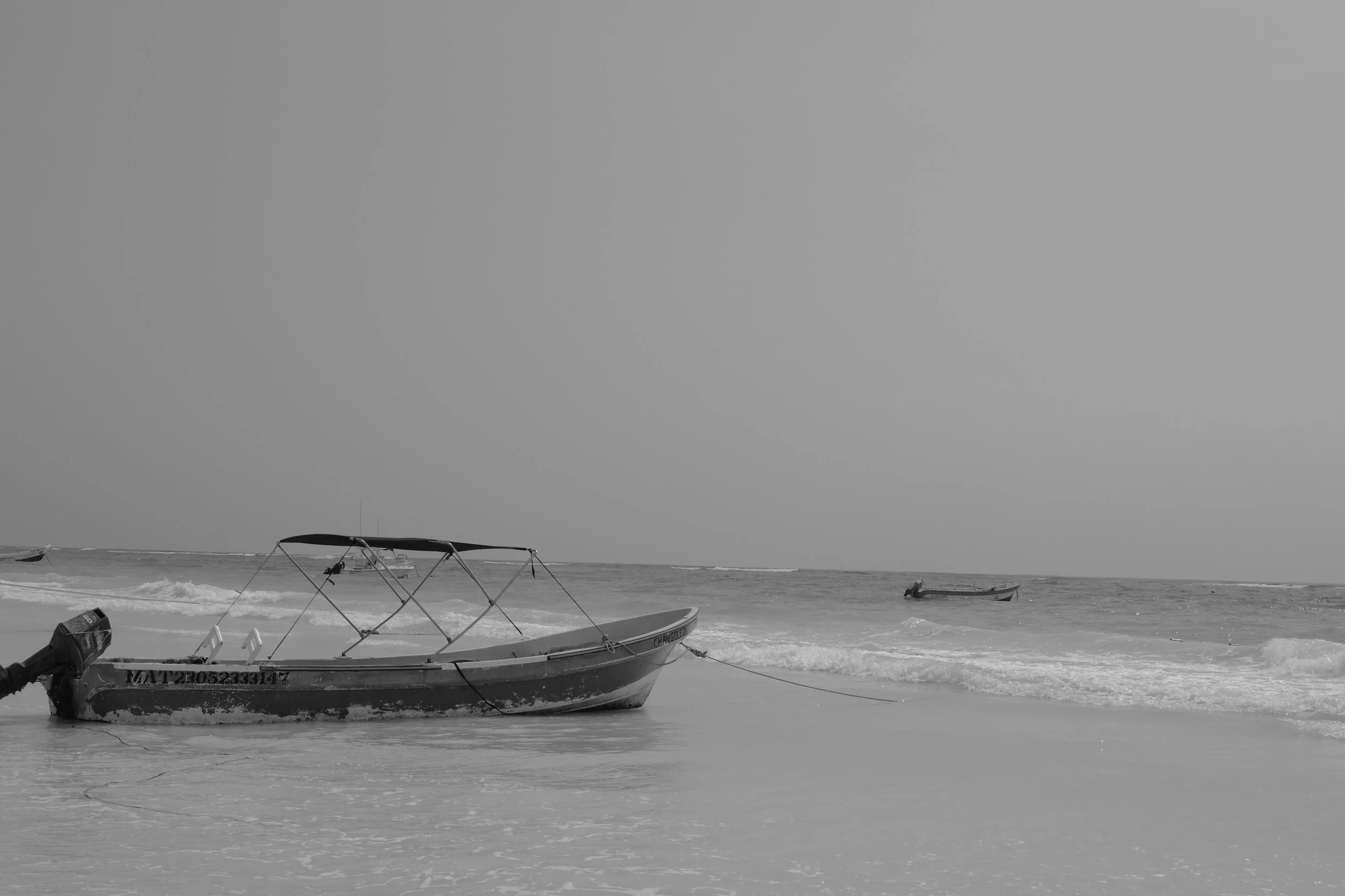 L1000272.jpg