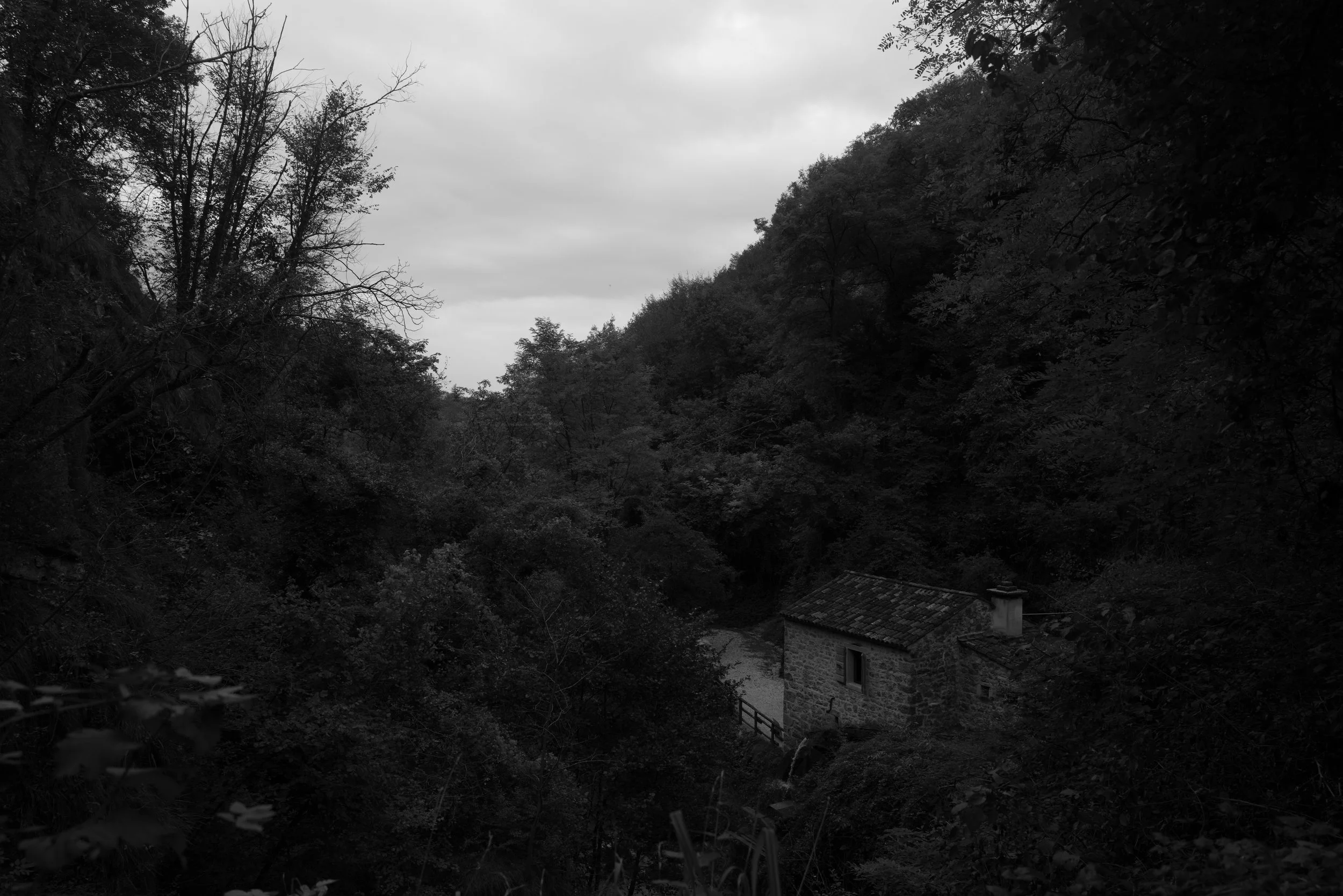 L1001276.jpg