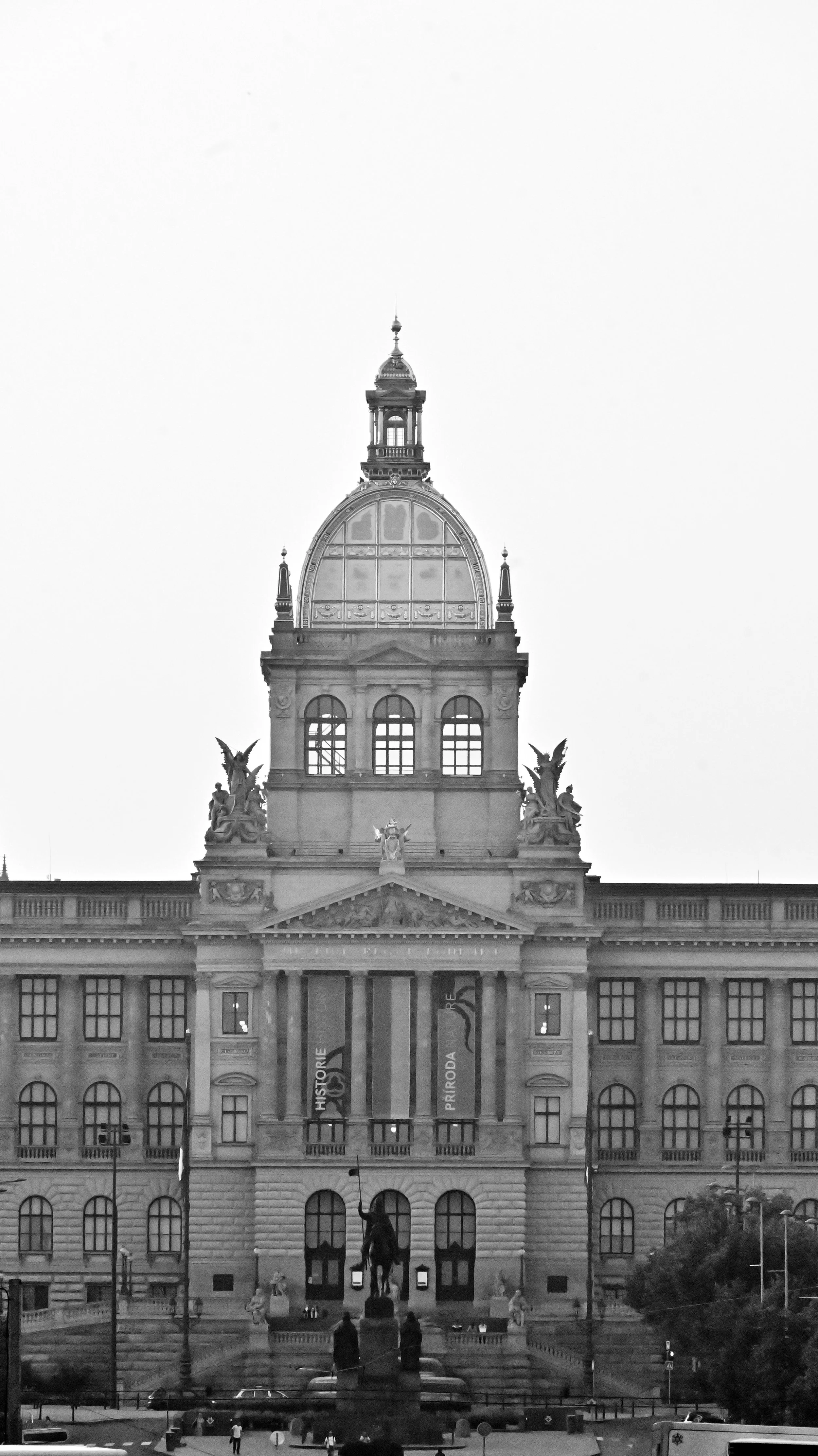 DSC_2768.jpg