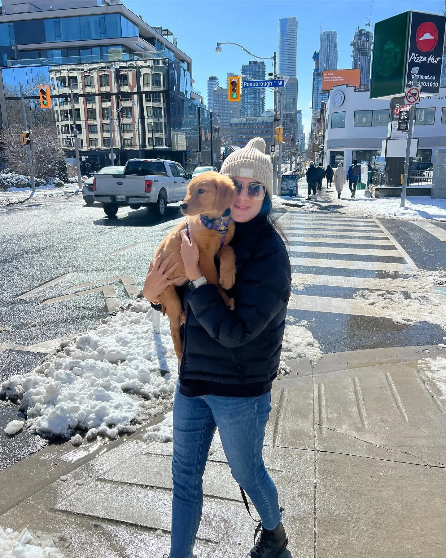 It might be snowy in Toronto but it sure is &lsquo;Sunny&rsquo; in Summerhill 😉

What&rsquo;s your favourite neighbourhood to walk around? 

Sunny&rsquo;s officially ready to explore the city and looking for recommendations!

.
.
.
#toronto #toronto