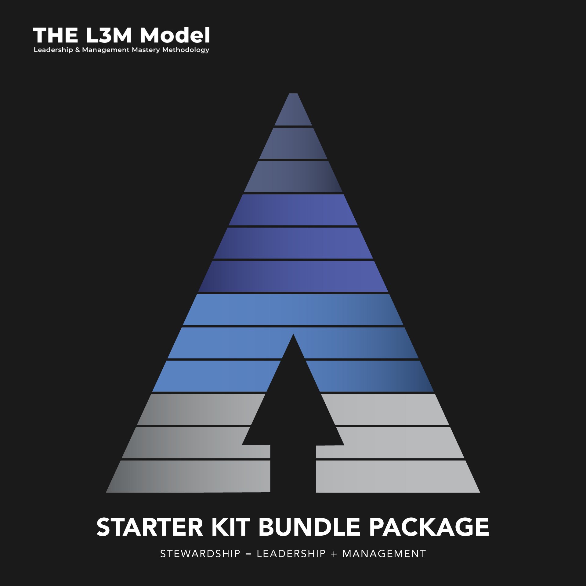 L3M-Product-Cover.jpg
