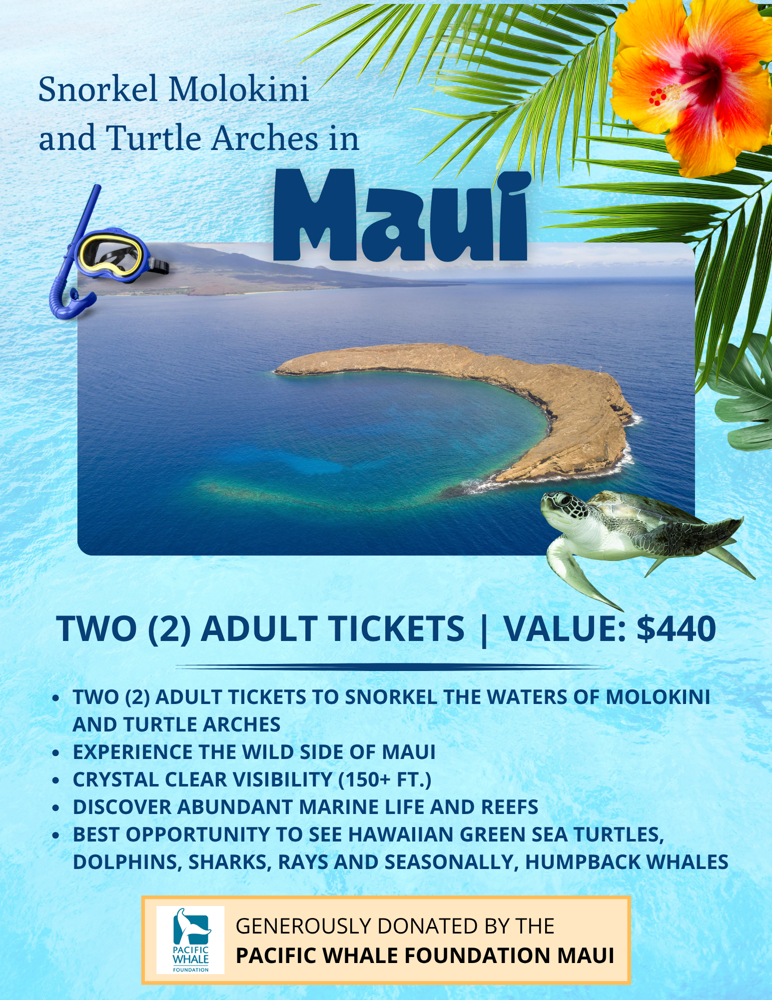 2-Snorkel Molokini and Turtle Arches in Maui.png