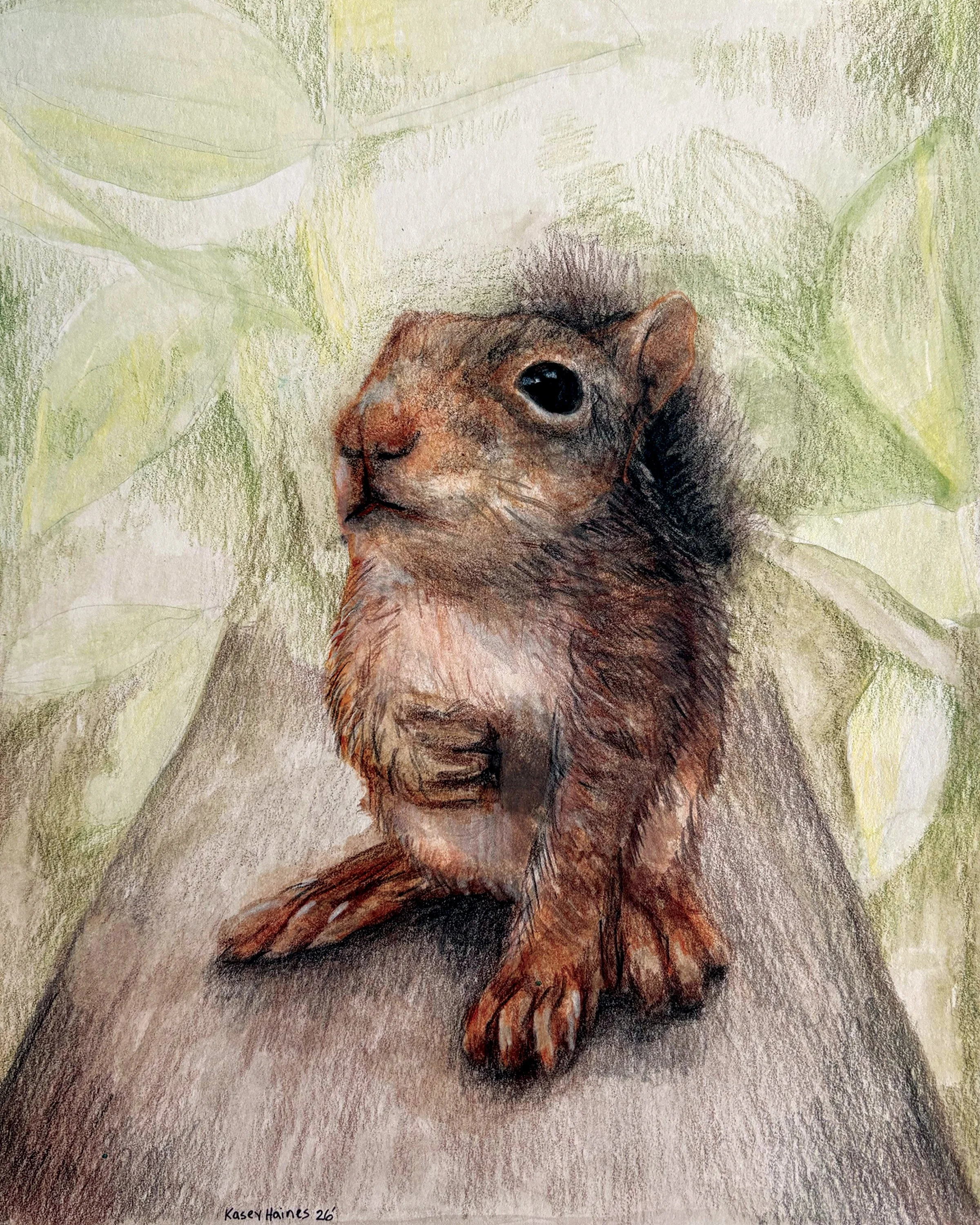 Squirrel Print - AARK Wildlife Rehabilitation and Education Donation