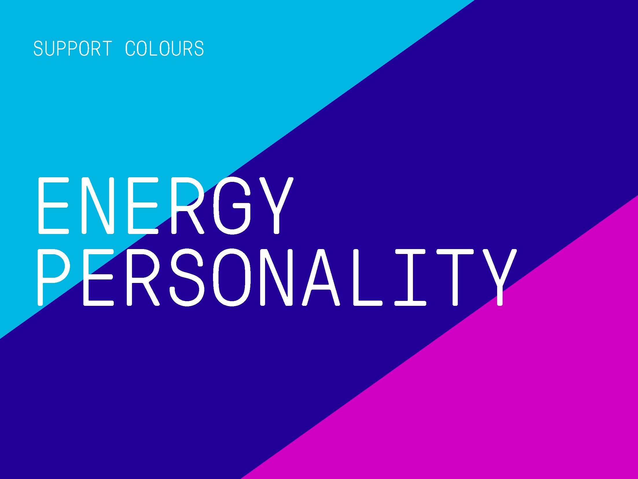PEEX_BrandGuidelines-NOV_Page_23.jpeg