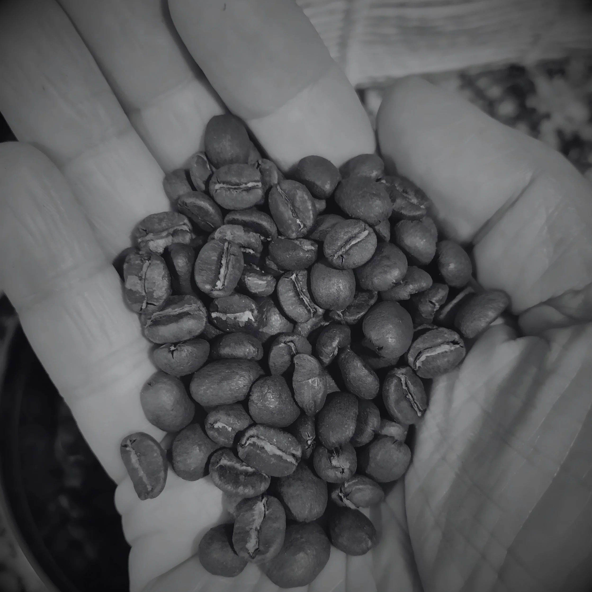 El Café Que Arruinaron