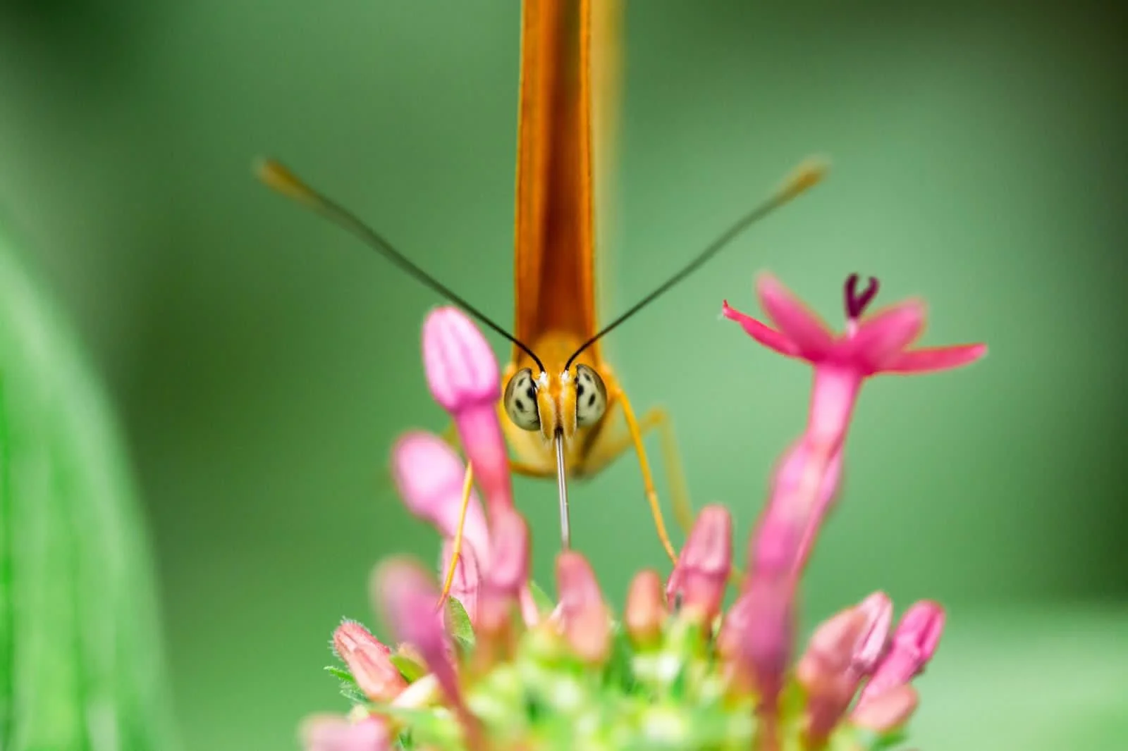 WhatsApp Image 2024-09-11 at 09.53.16.jpeg