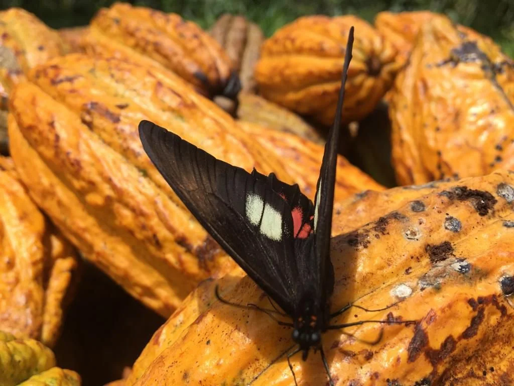 WhatsApp Image 2024-09-11 at 09.53.19 (1).jpeg