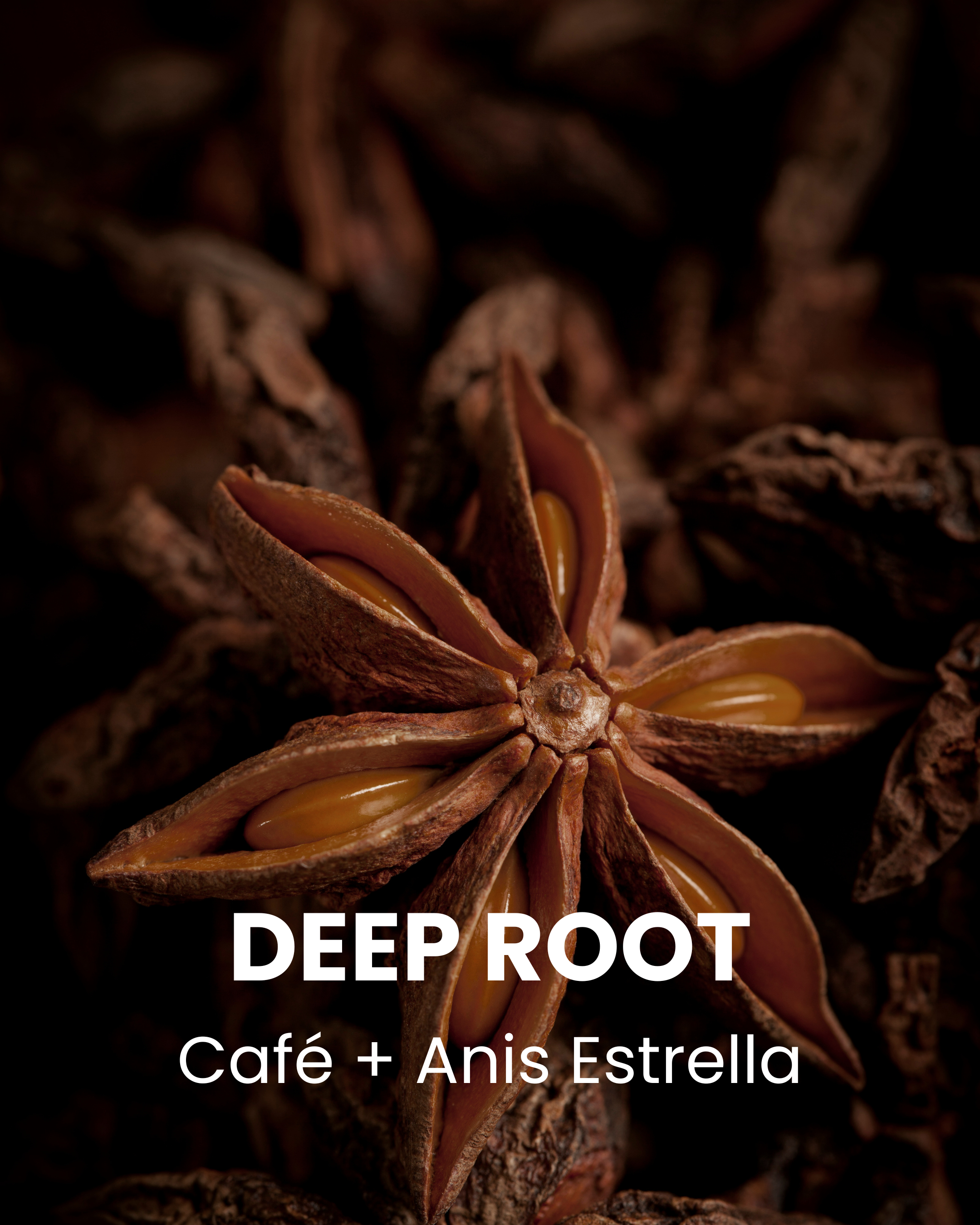 ROOT