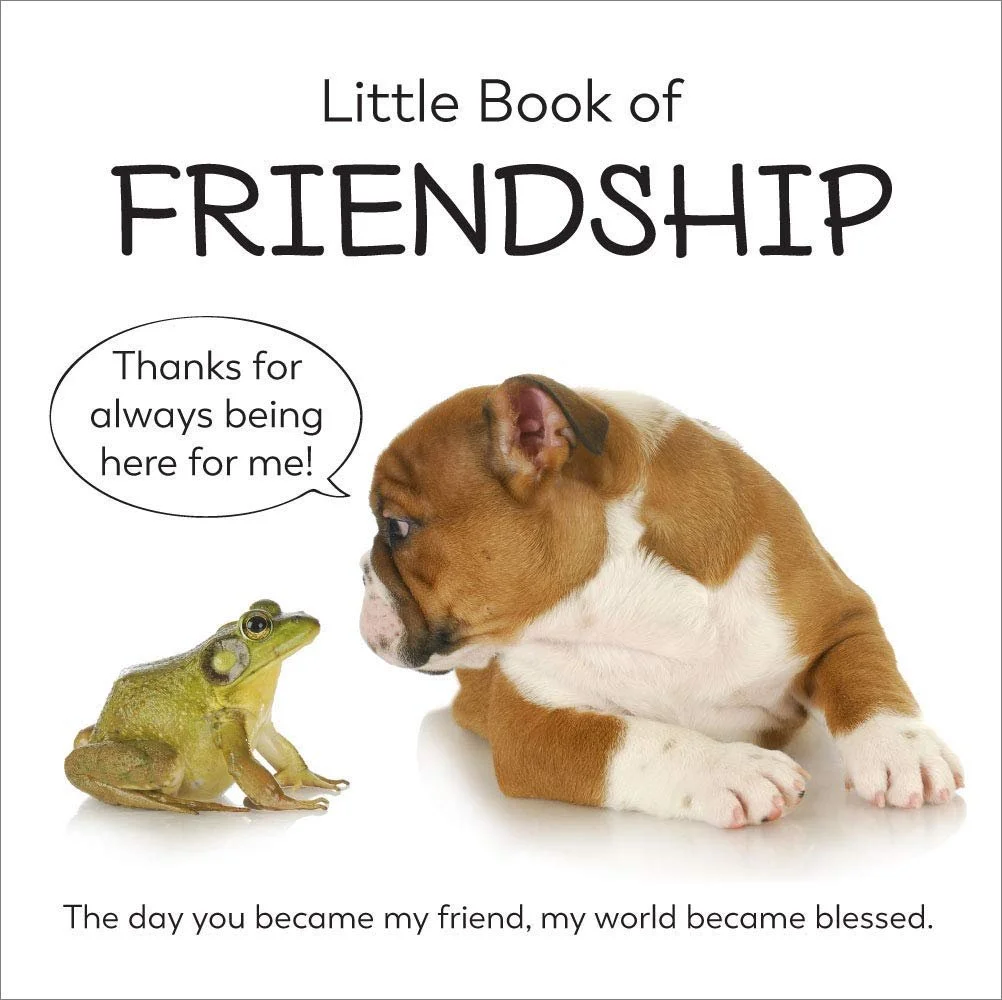 Portada de un libro pequeño titulado 'Little Book of FRIENDSHIP' con una imagen de un cachorro y una rana. El cachorro parece decirle a la rana: 'Thanks for always being here for me!' debajo hay un texto que dice: 'The day you became my friend, my wo