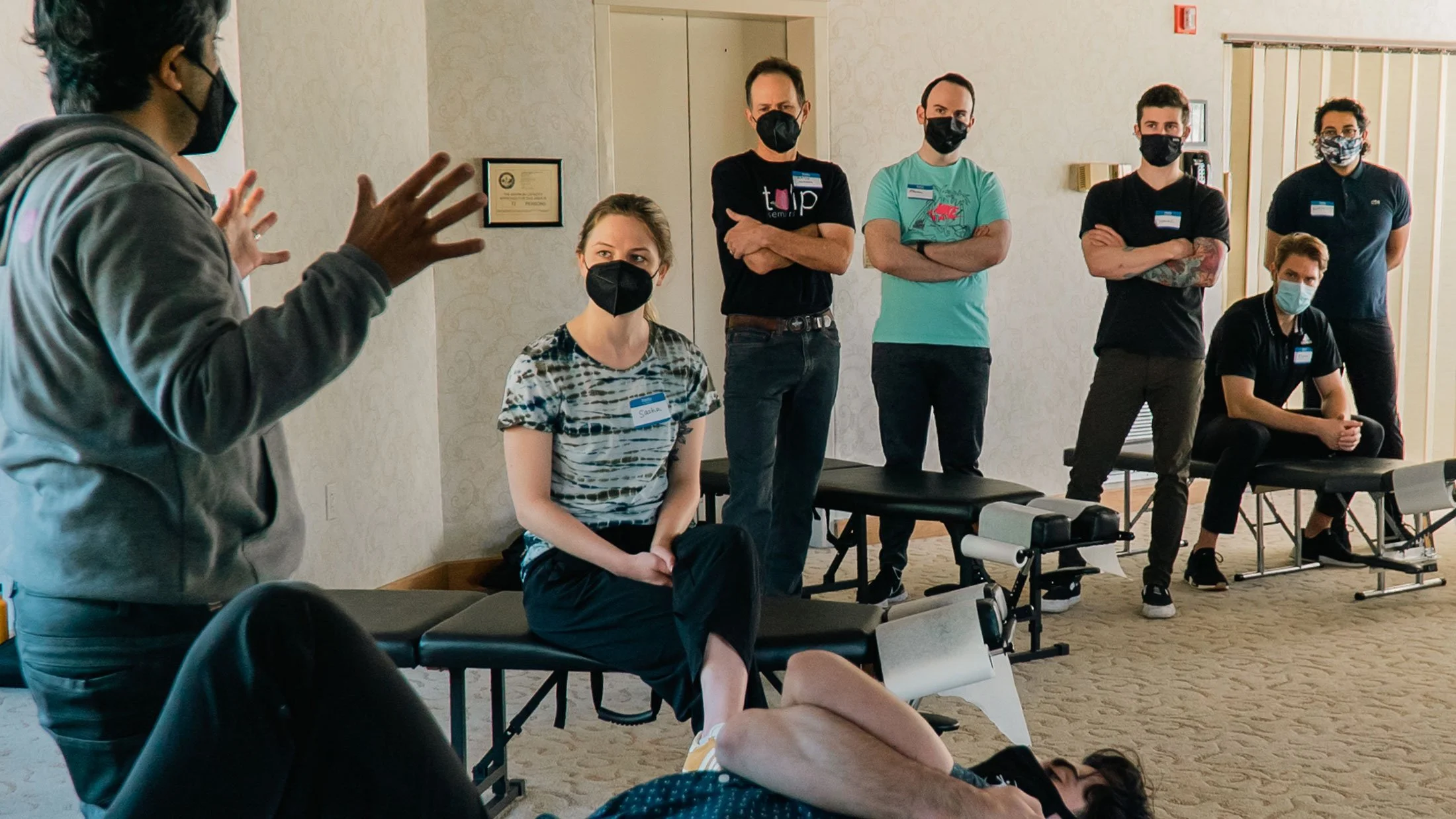 Chiropractic visual data 6