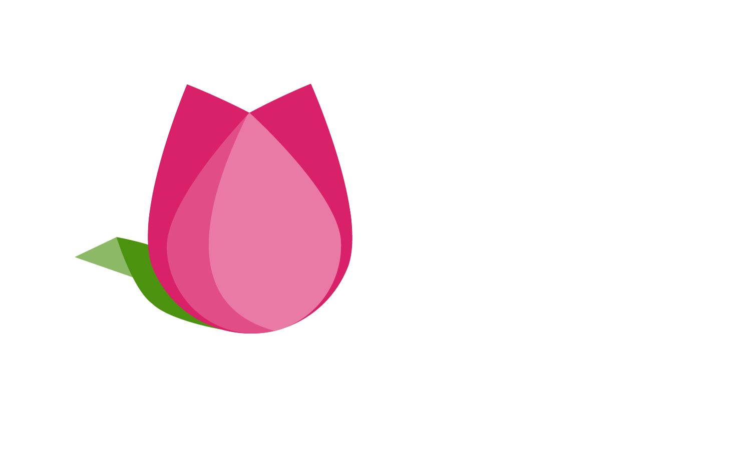 Tulip Seminars