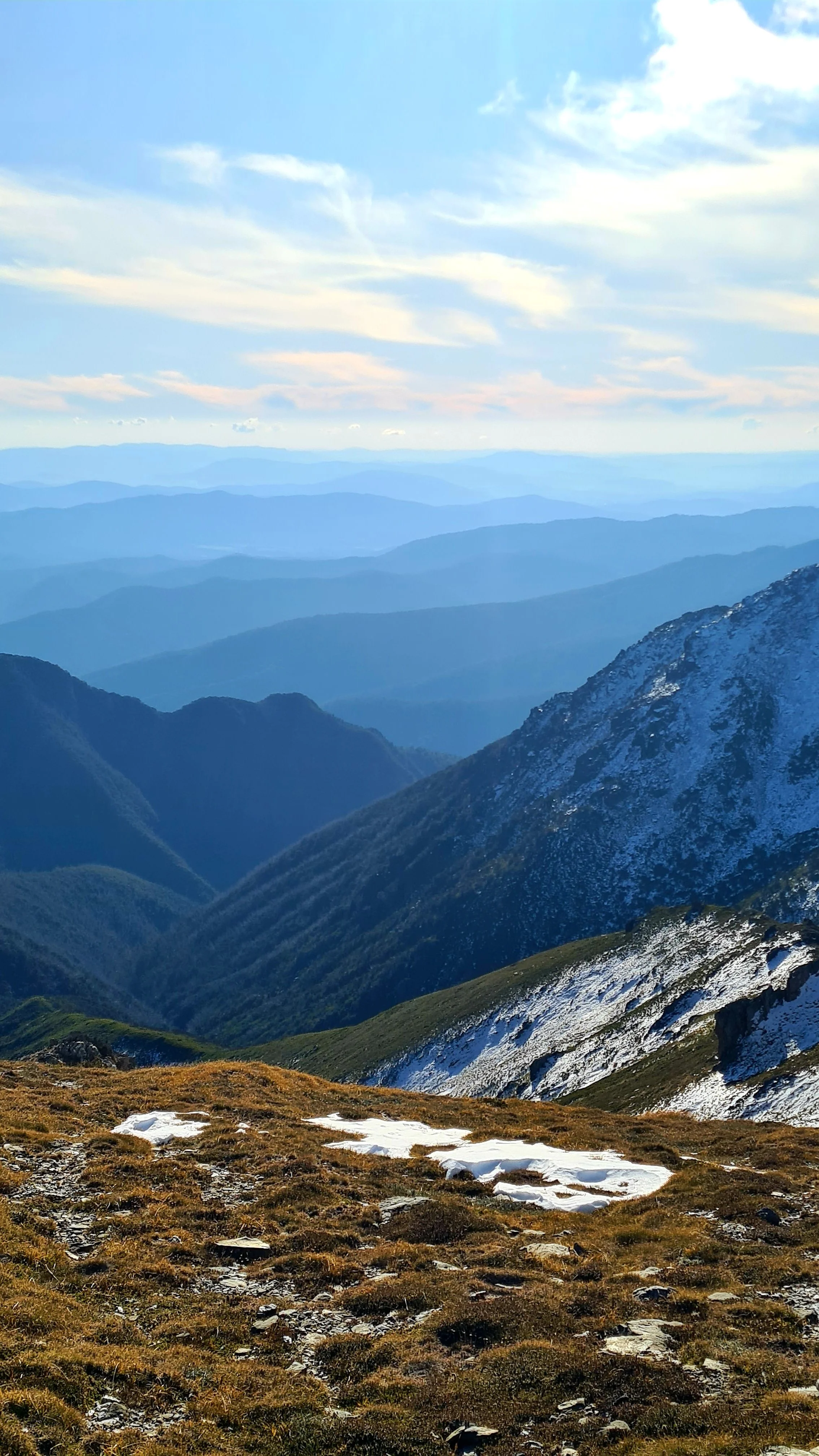 Alpine Ecology and Environmental Education