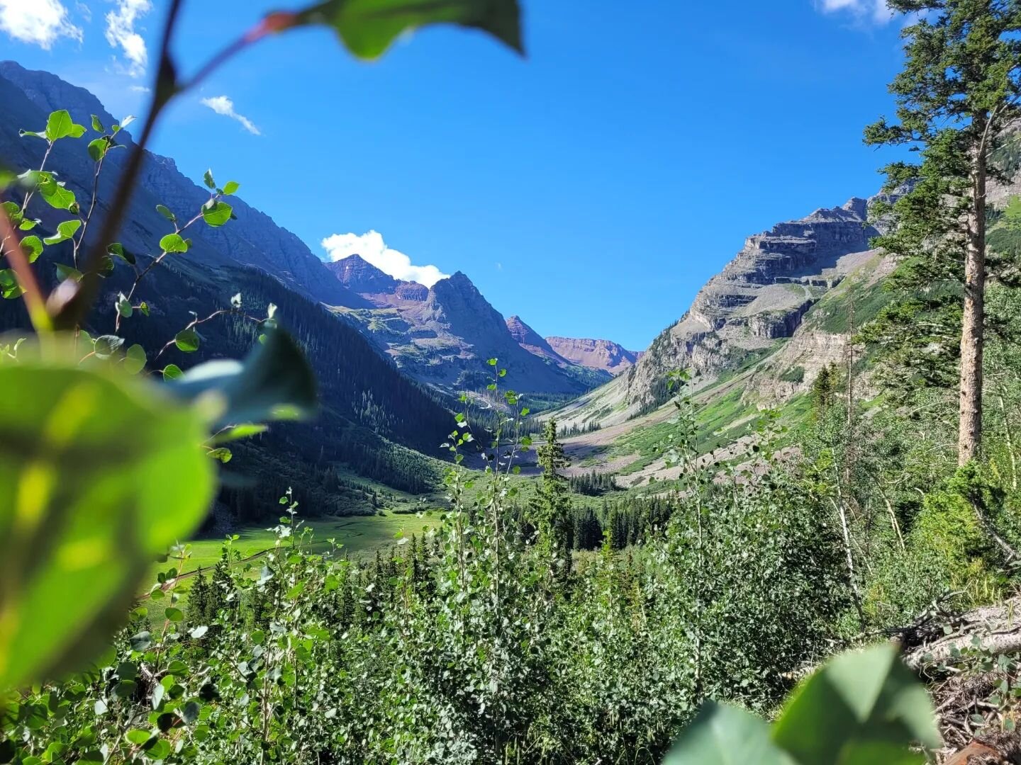 from: the trail

I wasn't mentally prepared for this hike but I did it anyway. this was my most active day of summer by far and it felt like I was catching up from all the sitting while on safari.

as much as my inner #capricorn self has been beating
