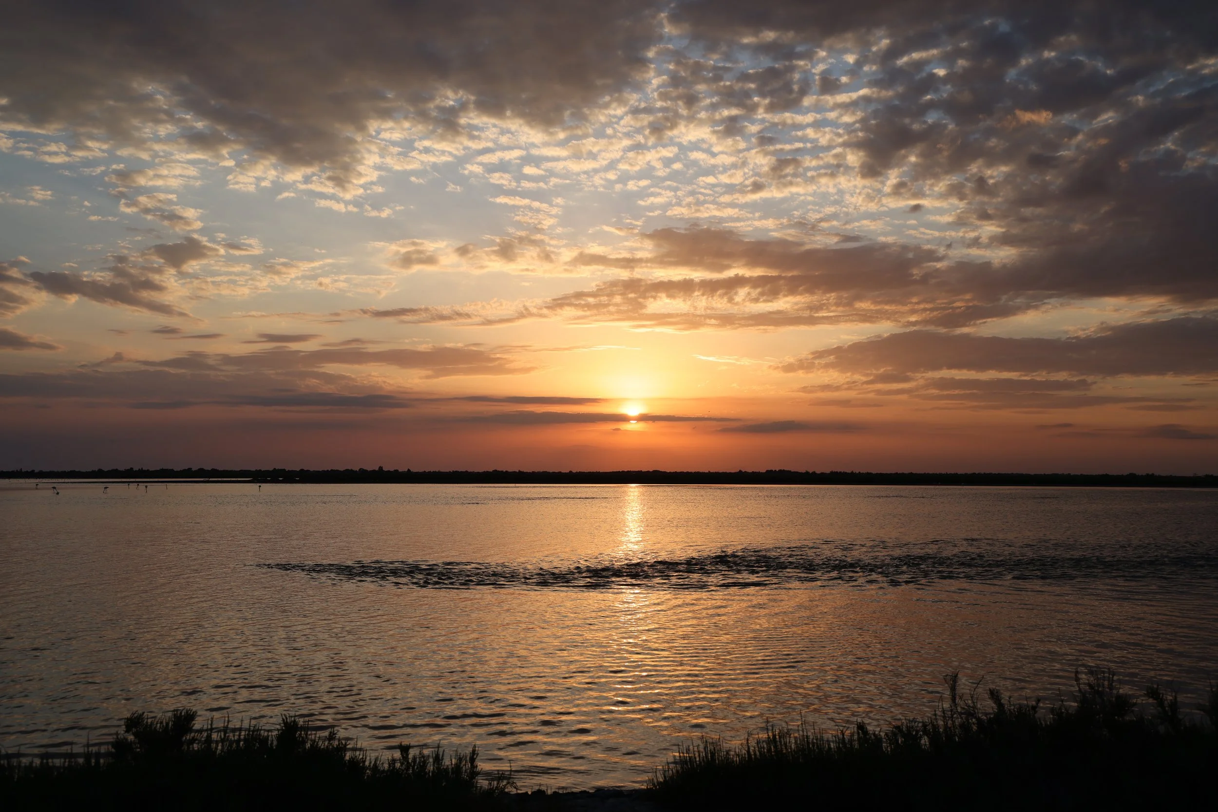 20260608df.JPG