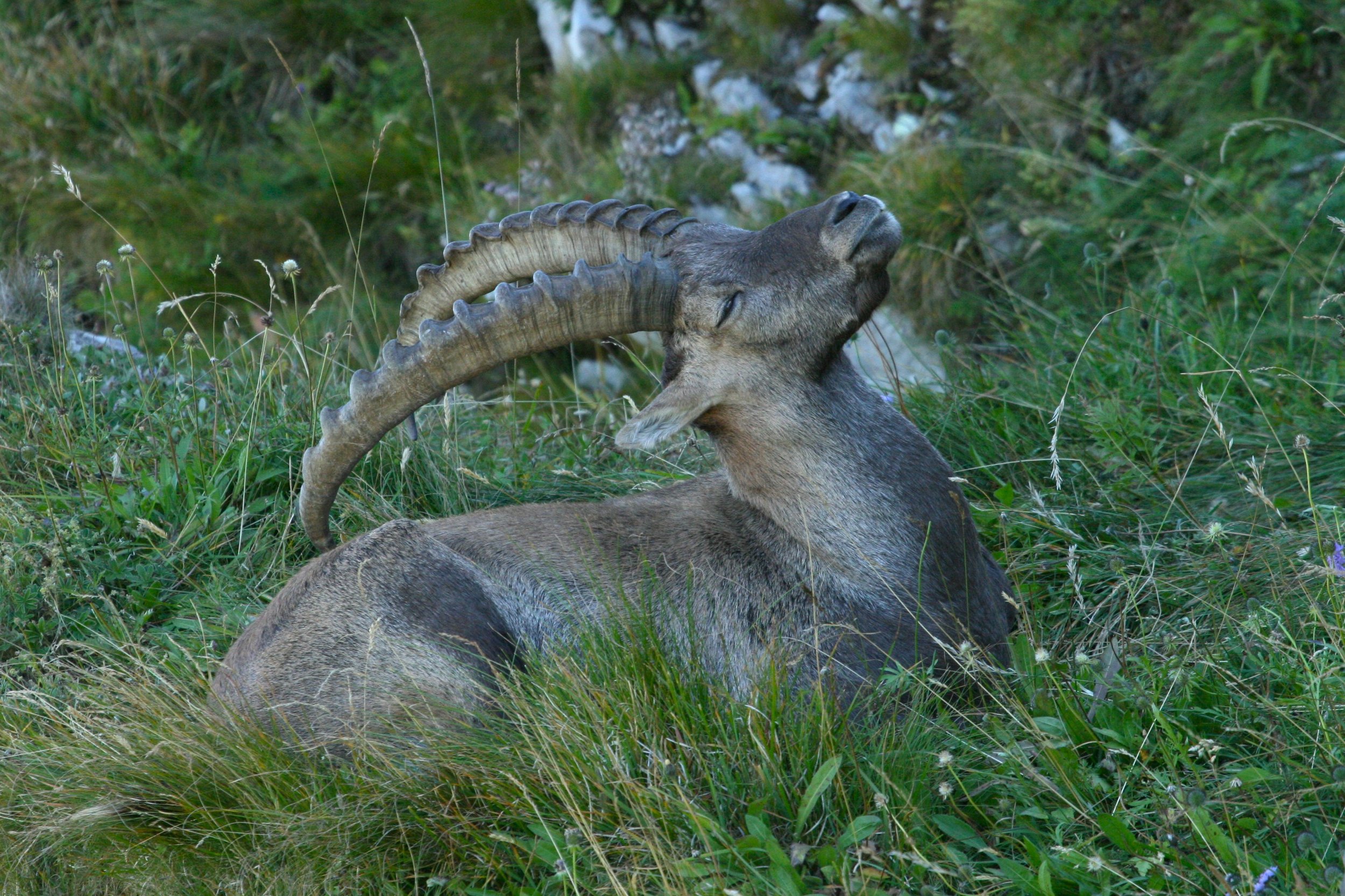 20090901f1.jpg