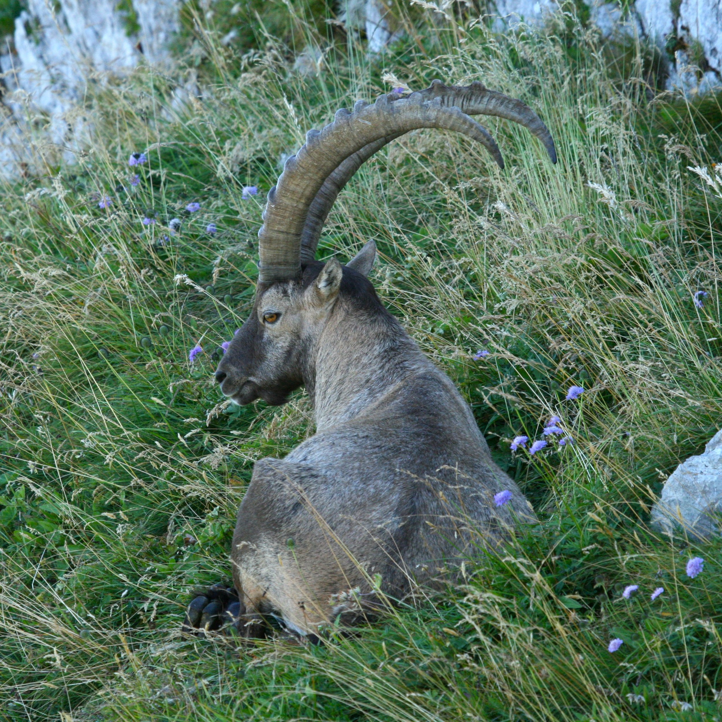 20090901d1.jpg