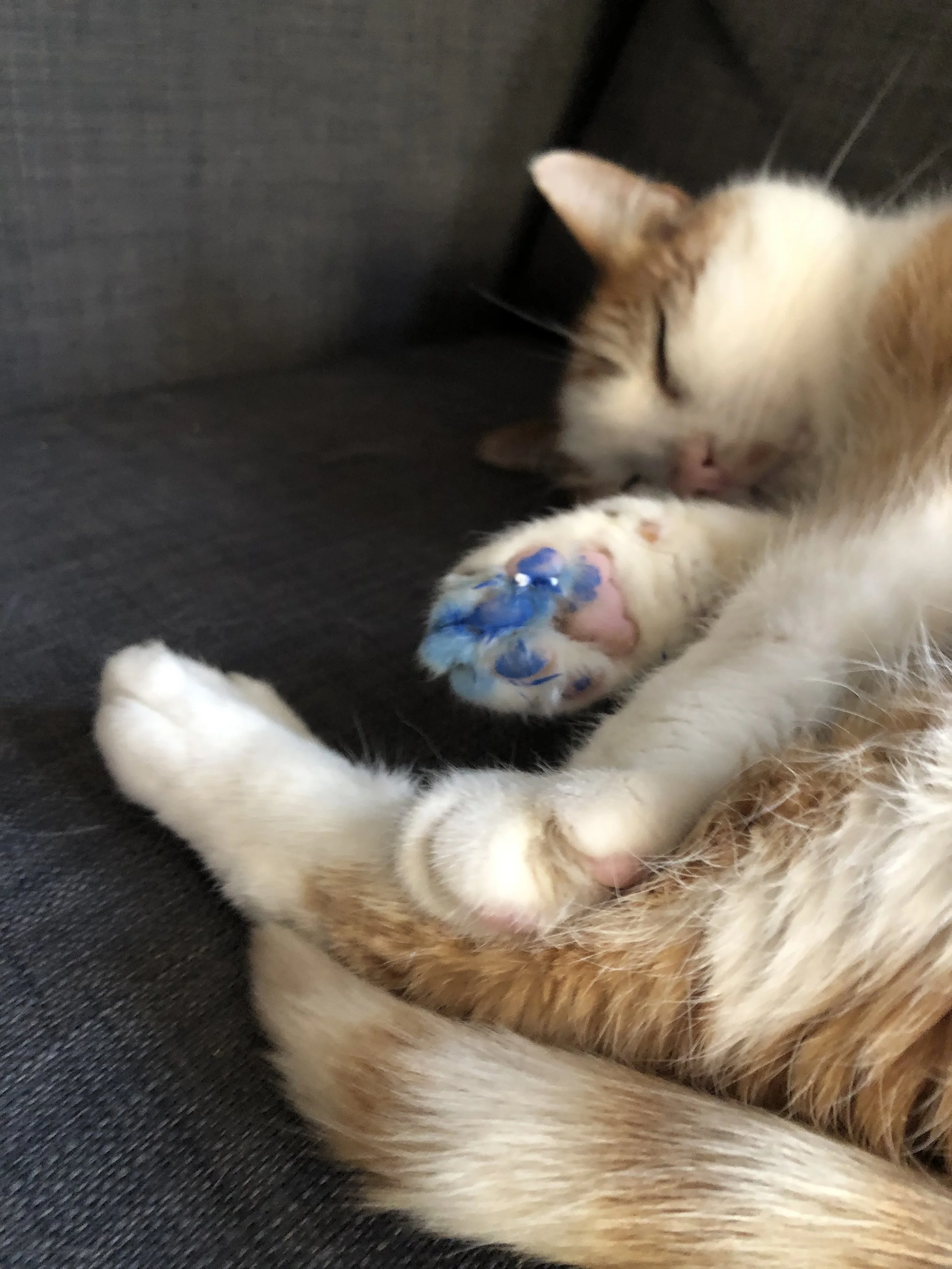 Foto 20.10.21, 17 06 20.jpg