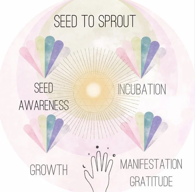 Diagram illustrating the stages of growth from seed to sprout, including seed awareness, incubation, manifestation, gratitude, and growth, with decorative heart shapes in pastel colors and a hand at the bottom.