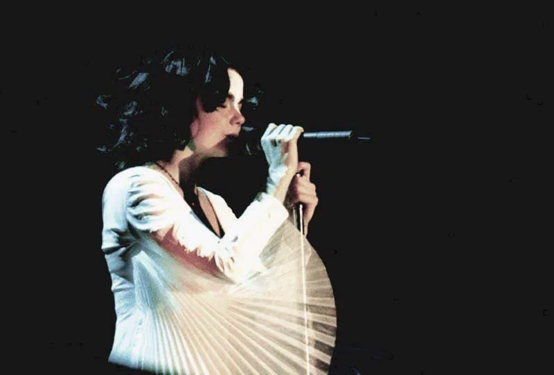 Björk: Pagan Poetry