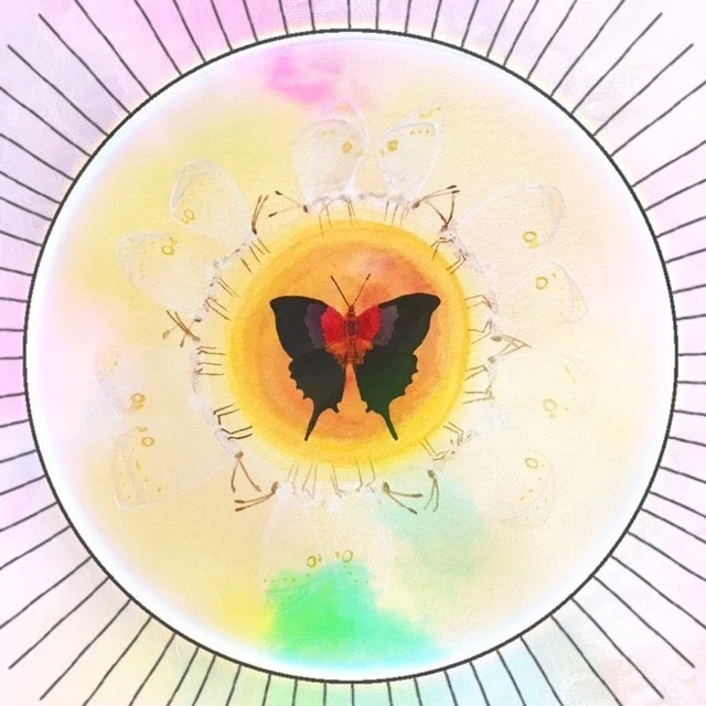 Butterfly Mandala