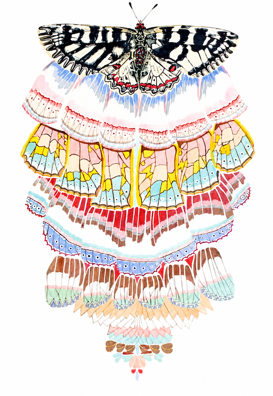 Watercolour painting of ochre and black butterfly with cascading patterns. Painted by Artist Leesa Maree.