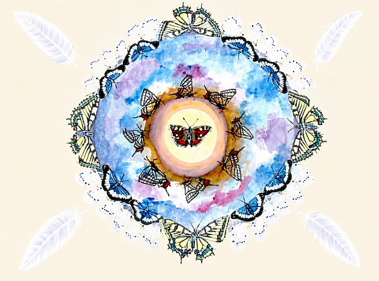 Butterfly mandala with butterflies and four white feathers. Watercolour painting by Artist Leesa Maree.