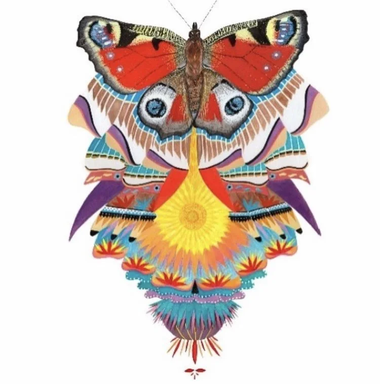 Colorful, symmetrical butterfly with intricate patterns and vibrant colors including red, yellow, purple, blue, and orange.