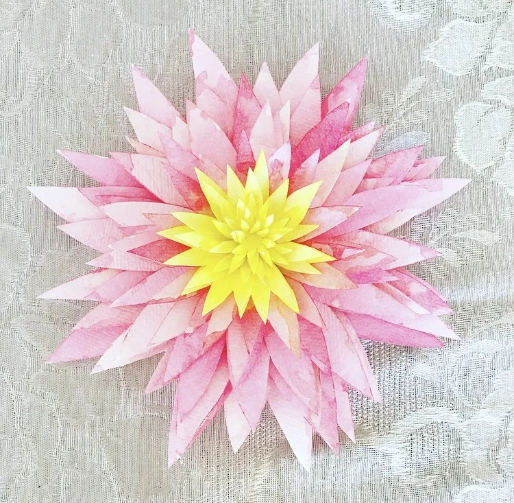 Pink Paper lotus flower