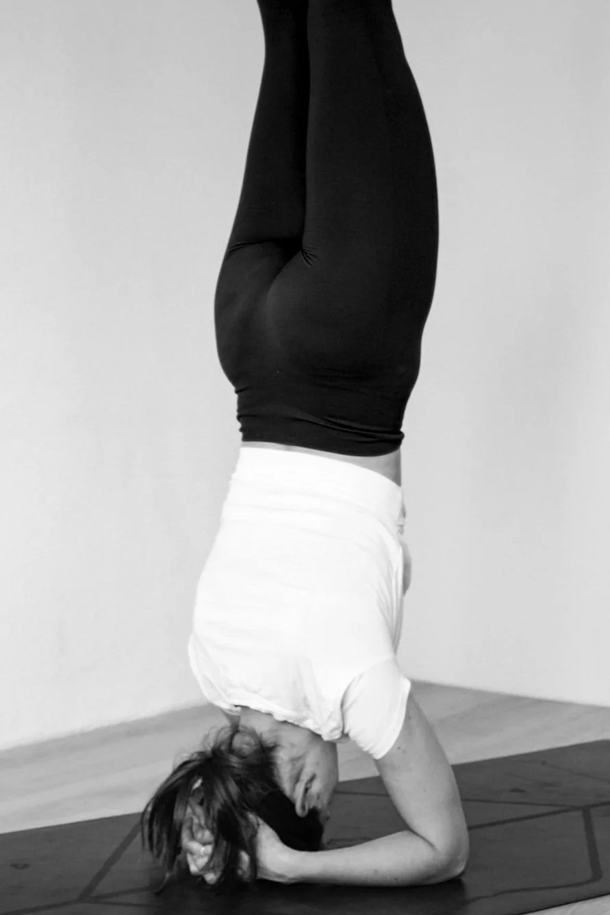 5 Yoga übungen Für Den Rücken Yoga Classes Description — Yoga+ Studio