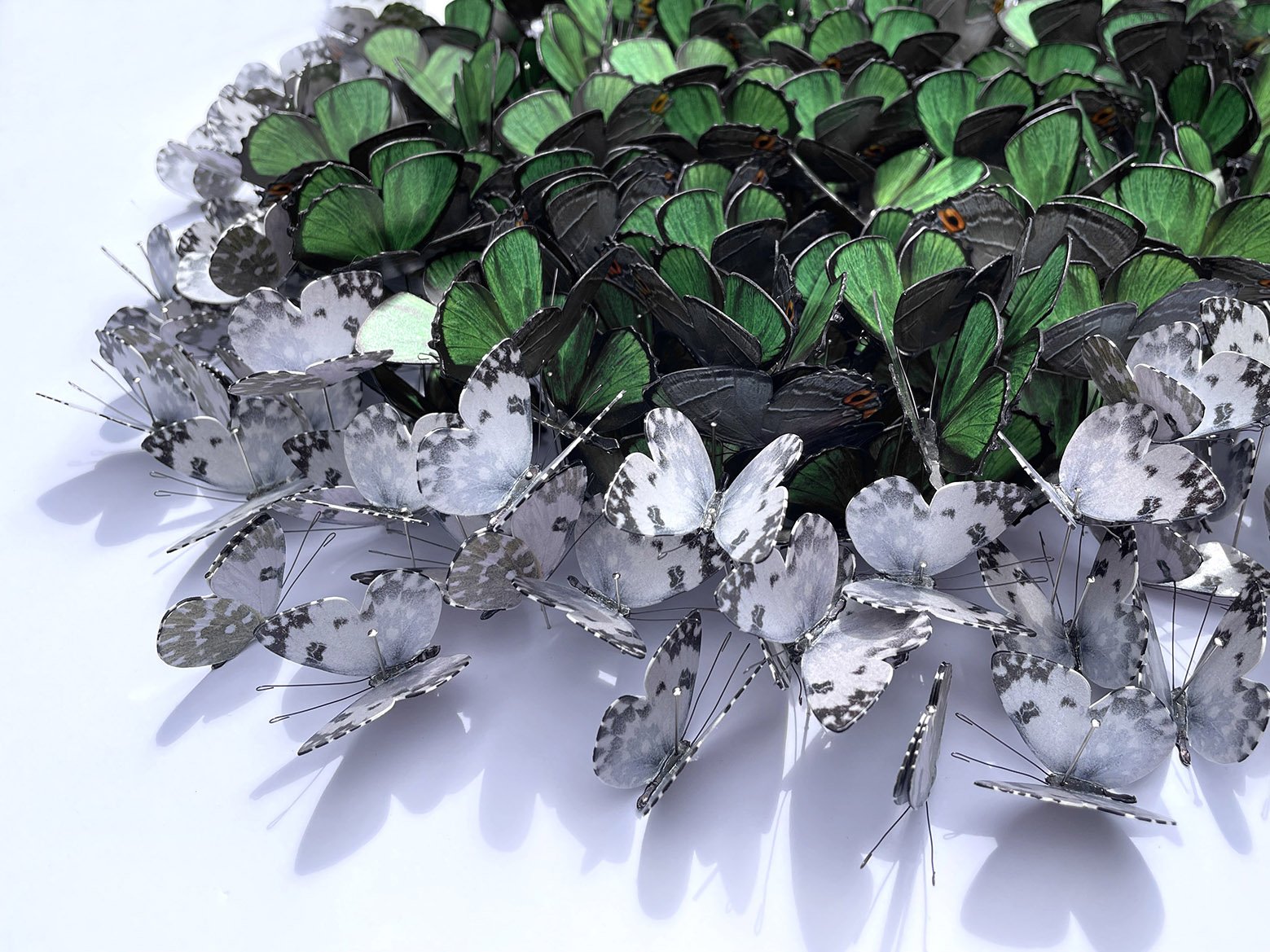 Daniel Bryne Cluster in Green Chrysozephyrus Original Butterflies Greens Whites detail