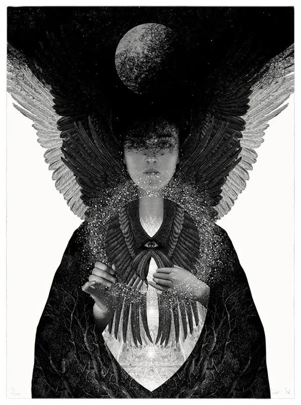 Shop — Thyme Contemporary