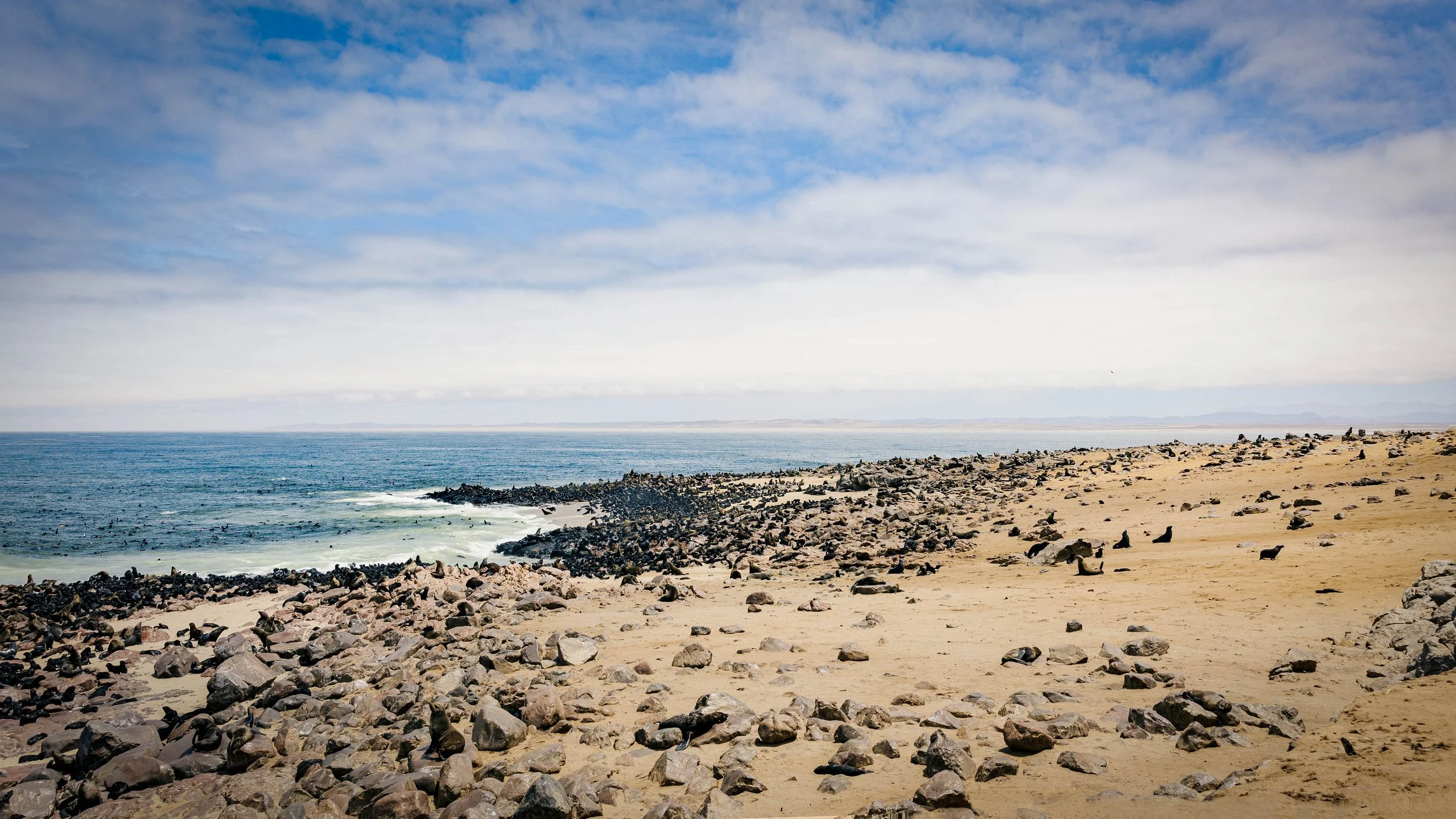 _F7A6985.jpg