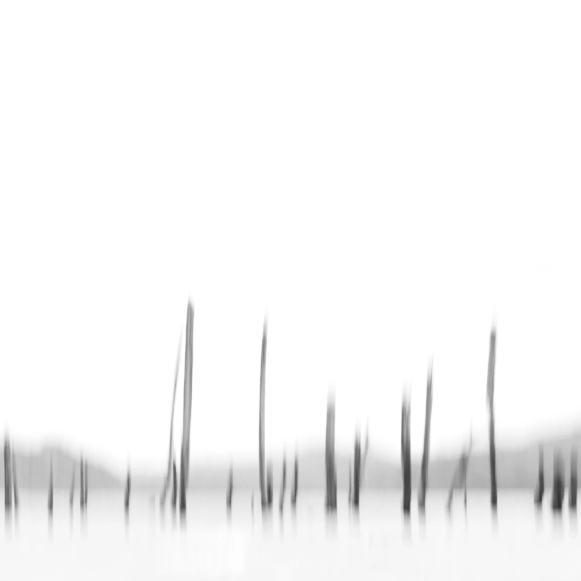 _F7A8382_Water_Excess.jpg