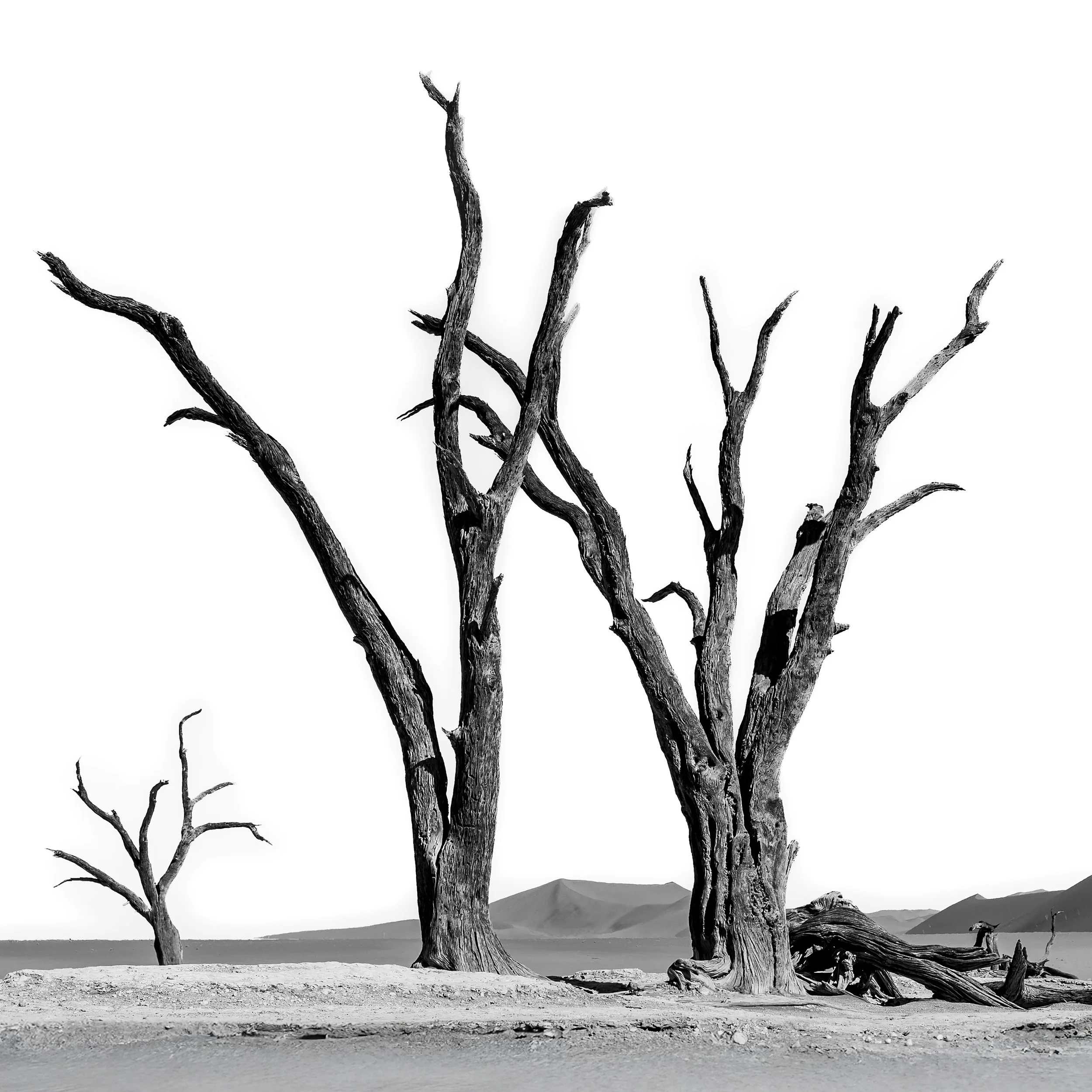 _H8A7786_Disappearance.jpg