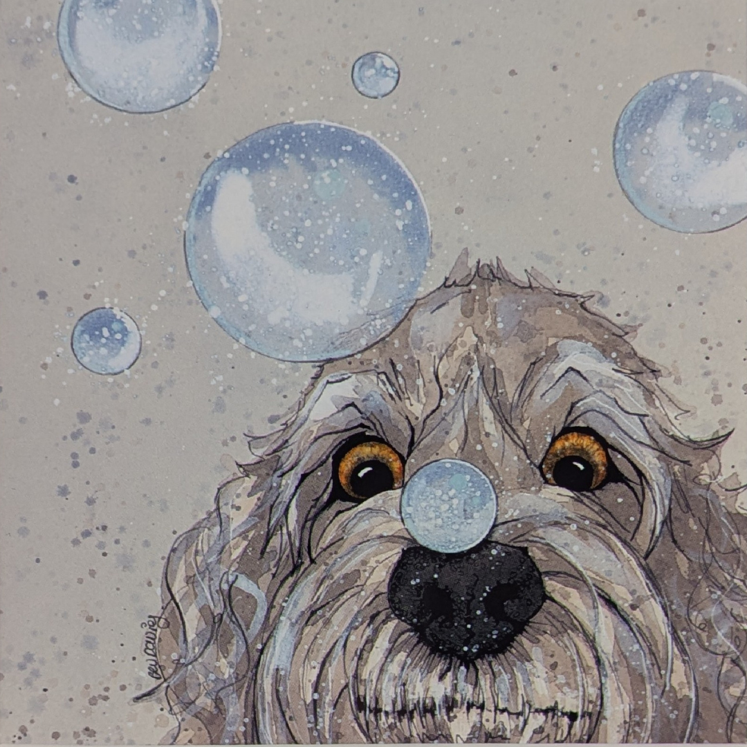 Untitled design - 2026-02-19T130824.592.png