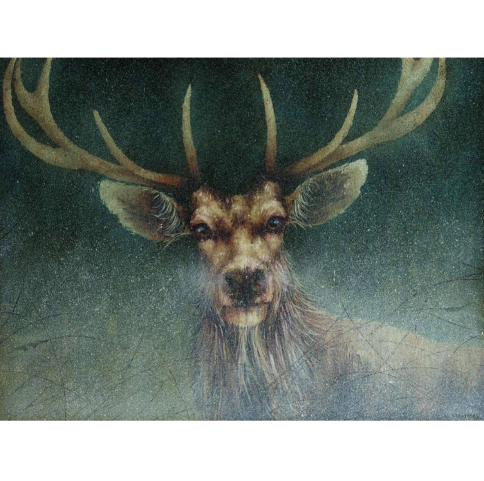 'Still' by Amanda Stratford