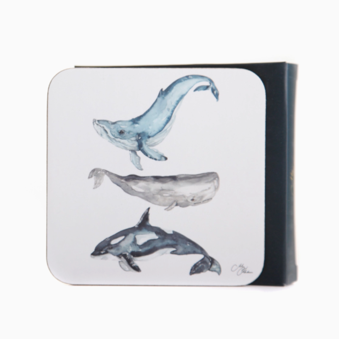 Untitled design - 2025-12-05T134303.675.png
