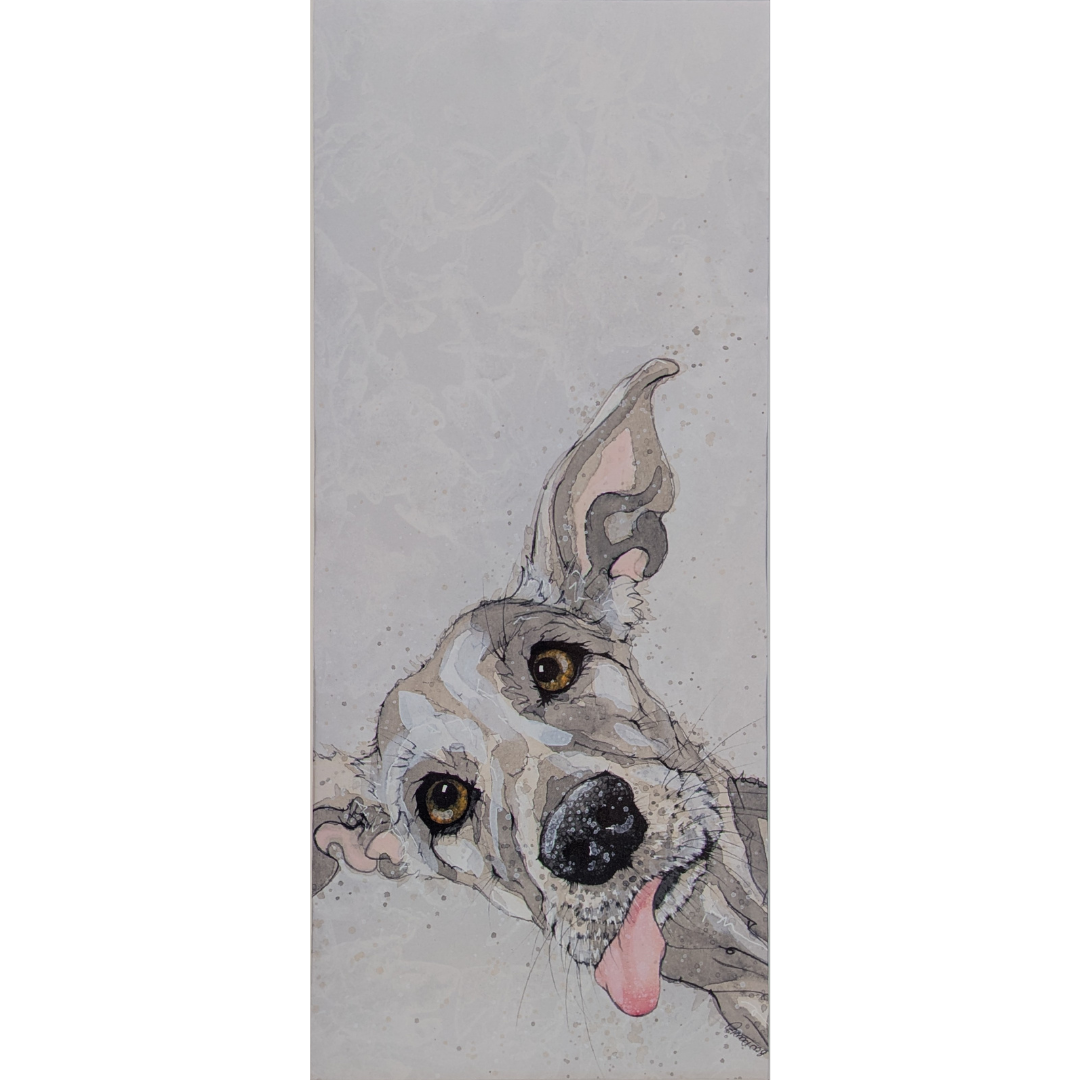 Untitled design - 2026-02-19T142853.494.png