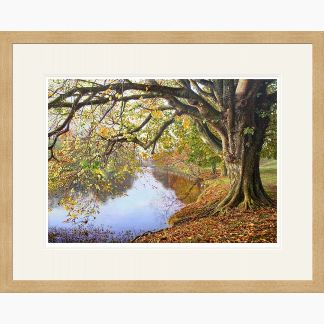 Untitled design - 2026-05-29T151036.821.png