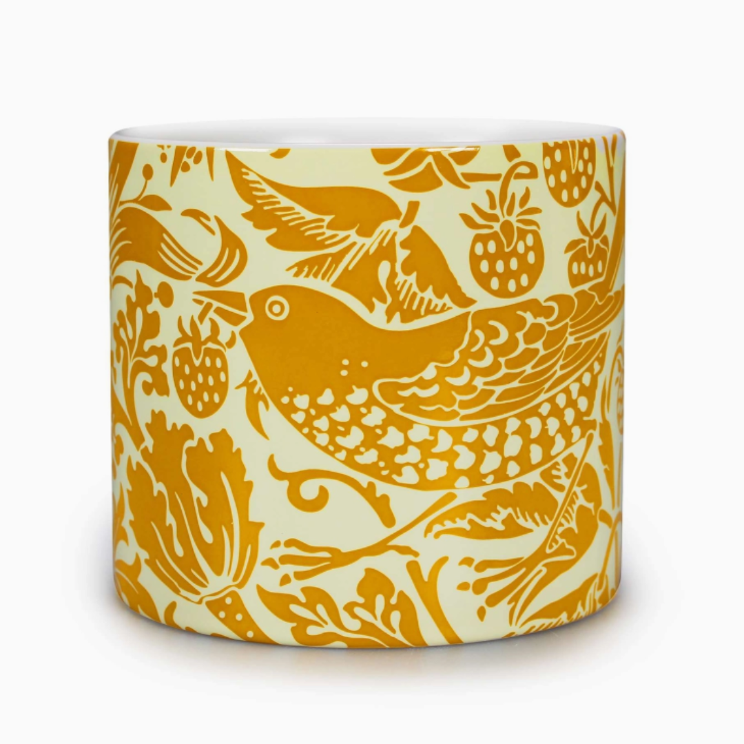 Untitled design - 2026-09-03T155428.151.png