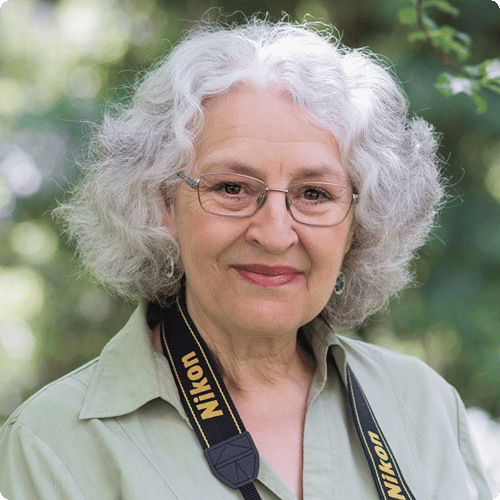 Kathie has grey hair and wears glasses, she's smiling at the camera with a camera strap around her neck
