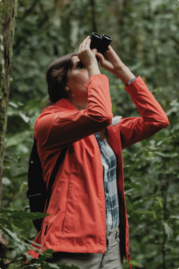 A woman is birdwatching in a forest