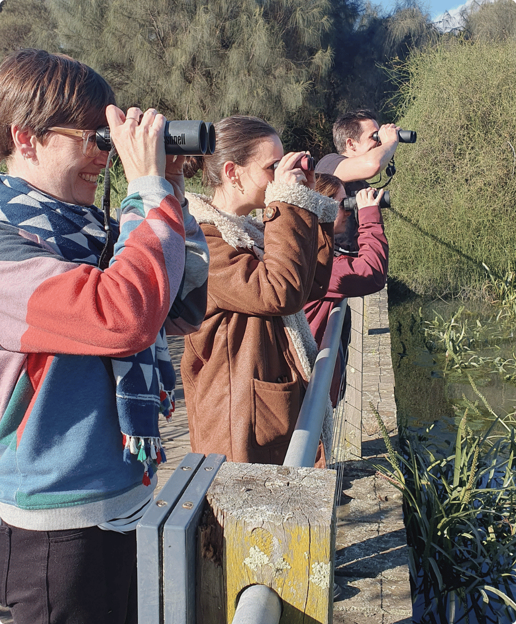 A group of people are holding up binoculars and birdwatching in a wetland