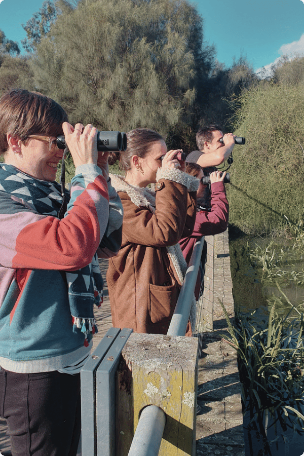 A group of people are holding binoculars and looking out at a wetland