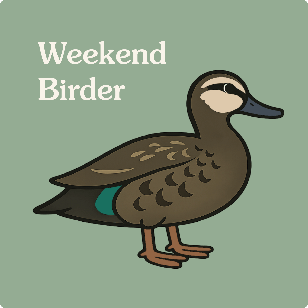 135 Pacific Black Duck