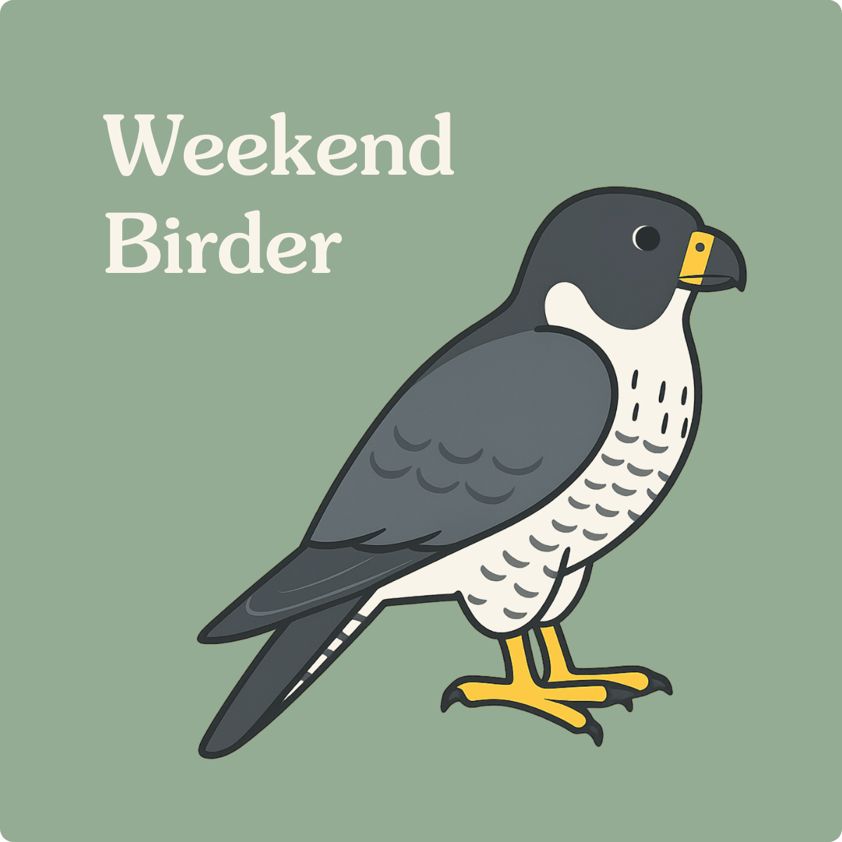 141 Birding Between Games